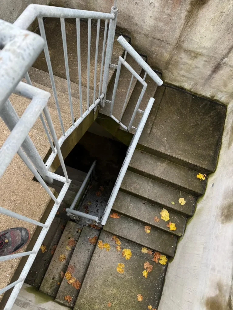 Treppenreinigung vorher/ nachher
